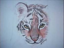 Teken Tijger Stap Voor Stap Diy Tatoeage Tekeningen Sleve In 2020 Animal Drawings Tiger Drawing Drawings