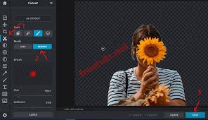 Lunapics image software free image, art & animated gif creator. Instructions To Delete Online Background Images For Free