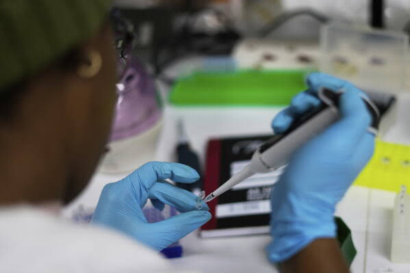 US aid cuts halt HIV vaccine research in South Africa | AP News