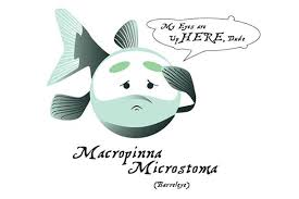 The Neatest Stuff On Earth