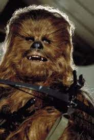 Only 3 Can Pass This Star Wars Quiz Can You Brainfall Star Wars Pictures Star Wars Chewbacca Star Wars Film
