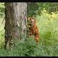 Bigfoot Trail Challenge