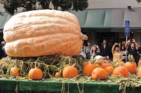 How To Grow A Record Setting Giant Pumpkin Modern Farmer