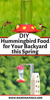 The Easiest Homemade Hummingbird Food Recipe Recipe Hummingbird Food Homemade Hummingbird Food Family Meals Kid Friendly