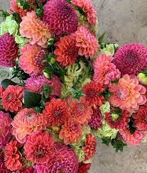 Mood moss flowers on beechwood avenue ottawa offers flower deliver and has over 35 years combined floral design we hope our creations brought you as much joy as they did to us! Moss Flowers Garden