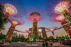 Gardens by the bay is most recognised for its giant super trees, which are 12 'enhanced' trees composed of actual living plants made superior through a steel base. Gardens By The Bay Tickets Eintrittspreise 2021 Tourscanner