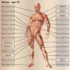 We did not find results for: Pin On Masoterapia