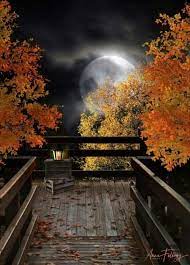 Autumn Night Full Moon Pictures Full Moon Photography Moon Pictures