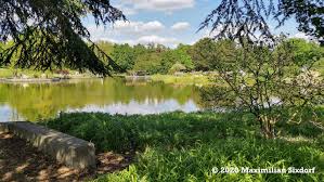 Informationen über die aktivitäten des botanischen gartens hamburg und. Loki Schmidt Garten Geheimtipp In Hamburg Max Six Reiseblog