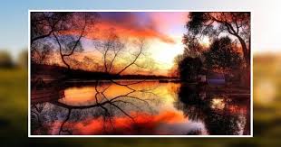 Peter P Cerda Obituary May 15, 2020