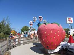 Enjoy endless fun at western canada's largest outdoor family amusement park! The Ride That Made Mommy Nauseous Lol Picture Of Calaway Park Calgary Tripadvisor