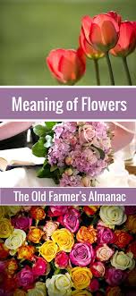 Zinnias symbolize the thoughts of an absent friend. Flower Meanings The Language Of Flowers Healing Flowers Flower Meanings Types Of Flowers