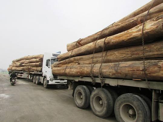 Vận chuyển gỗ từ Bình Dương đi Hà Nội – Hải Phòng trước kỳ nghỉ 2/9
