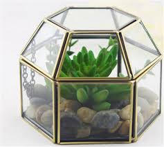 Vintage Hexagonal Glass Box And Garden Glass Terrariums Glass Jewelry Gift Boxes For Wedding And Home Decoration Glass Boxes Terrarium For Sale Glass Terrarium