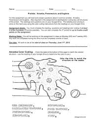 Protist Coloring Sheet Key Protists Coloring Sheets Coloring Pages