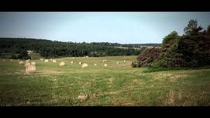 Mahasiswa super beruntung,mantap mantap dengan ibu kos yang bahen0l alur film (boarding house). Un Petit Massage Sous La Pluie Voyages Decouvertes Tendances