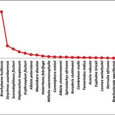 Image result for Haplocoelum inoploeum