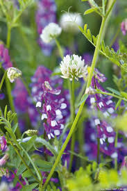 Epingle Sur Bricolage