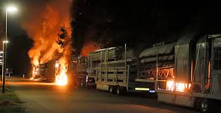 It is important that if the patient does not have a problem with a particular risk factor that this is indicated by ticking the 'no problem' item showing the assessment has been undertaken. Technische Unfalle Vorfalle In Freizeitparks Auf Volksfesten Etc Seite 80 Coasterfriends Forum