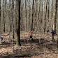 McCarty Hill State Forest Trail Work Day