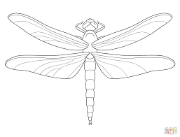 Dragonfly Coloring Page From Dragonfly Category Select From 28148 Printable Crafts Of Cartoons Nature Anim Dragonfly Drawing Coloring Pages Dragonfly Images