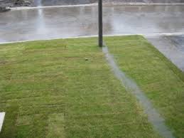 Guide and using the correct materials and tools makes it easier. Landscape Drainage Lawn And Swale Grading