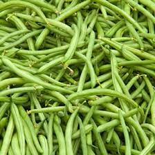 5 of 5 total reviews: Top Crop Bush Bean Plant The Best Green Beans Green Beans Green Bean Casserole