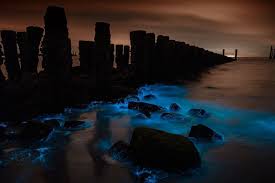 Zie de link in de bio! Atroy9 I Went Back To Westkapelle Last Night And The Sea Sparkle Was Even Brighter This Time At Westkapelle Zeeland Netherlands Ht Kunstwerk Troy Behang