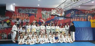 Class Programs In 2020 Martial Arts Training Taekwondo Martial Arts