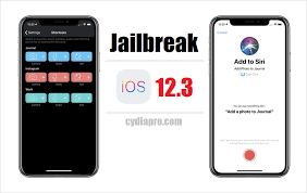 Apple Released Ios 12 3 To The Public Can We Download Cydia Ios 12 3 Iphone Hacks Tv App Party Apps