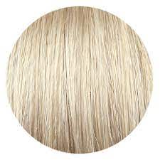 Zala Champagne Blonde 51 Clip In Hair Extensions 20 100 Human Remy Hair 120 220g Tape In Hair Extensions Champagne Blonde Clip In Hair Extensions