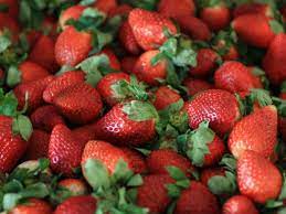 Place the strawberries in a metal bowl and crush a block of indulge yourself with a slice of freshly baked pie from the oven with a strawberry filling. How To Freeze Strawberries Freezing Fresh Or Whole Strawberries Hgtv