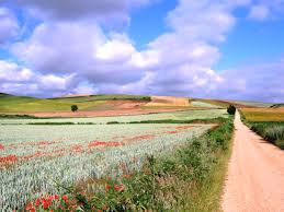Santiago de compostela este un oras cu o foarte lunga istorie si cu o catedrala care se afla printre cele mai celebre din lume. Santiago De Compostela Ramona Venturini Blog