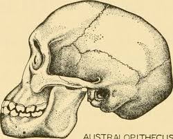 We did not find results for: Un Biolog Roman ExplicÄƒ Teoria EvoluÈ›iei Pe InÈ›elesul Noului Ministru Al CercetÄƒrii