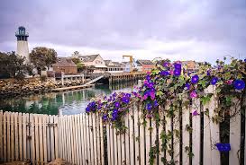 Maybe you would like to learn more about one of these? Morning Glory At The Harbor Photograph By Lynn Bauer