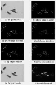 Let's jump to the extraction of the edges in the scene. Method For Pests Detecting In Stored Grain Based On Spectral Residual Saliency Edge Detection Sciencedirect
