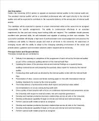 sample auditor job descriptions in ms