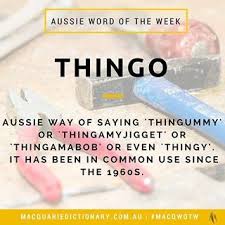 Thingo Is The Macquariedictionary Wordoftheweek Aussie Words Etymology Slang Definitions Meaning Oz Dictionary With Images Word Definitions Cool Words Words