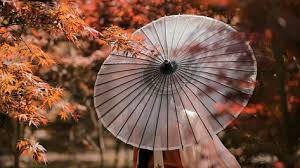 摄影 李沐鸿civ 芝月 衣服 菩提雪传统服饰比甲 有香如故汉服云肩 春山集bambolotta 老师 小艾野 疯子charles 松溪大曲 29 05 2020 flowers plants dandelion