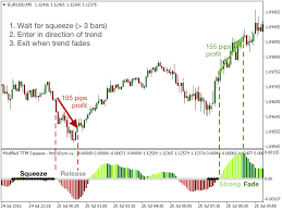 This is a derivative of john carter's ttm squeeze volatility indicator, as discussed in his book mastering the trade (chapter 11). åœ¨metatraderå¸‚åœºè´­ä¹°metatrader 4çš„ Modified Ttm Squeeze Indicator æŠ€æœ¯æŒ‡æ ‡