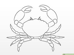How To Draw A Crab 10 Steps With Pictures Wikihow It's amazing how i have lived in singapore my entire life, but i have never i tried one for the first time today, and it simply blew my mind. how to draw a crab 10 steps with