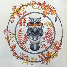 Enchanted Forest Owl Enchanted Forest Coloring Book Enchanted Forest Coloring Enchanted Forest