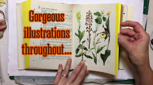 An edition of a field guide to wildflowers coloring book (1982). Flip Through A Field Guide In Colour To Wild Flowers 1 200 Color Illustrations Youtube