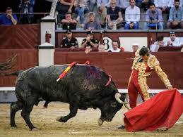 Luis Bolívar en EL PAÍS