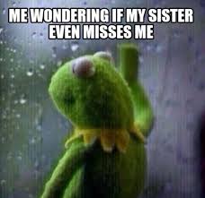 Meme Creator Funny Me Wondering If My Sister Even Misses Me Meme Generator At Memecreator Org
