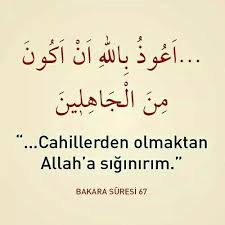 Lesson Panosundaki Pin