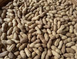 今年も落花生を煎る。 | のうえん！