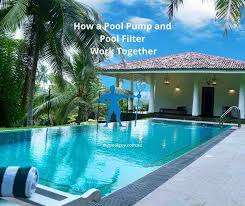 Lastly, after going through the filtration system, your pool pump will return the filtered (clean) water back into your pool. How A Pool Pump And Pool Filter Work Together My Pool Guy