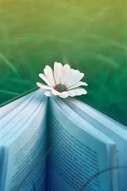 Latest wallpapers, hd images, hd backgrounds. Book White Flower Green Grass 750x1334 Iphone 8 7 6 6s Wallpaper Background Picture Image