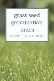 How Long Does It Take For Grass Seed To Germinate Zoysia Grass Seed Grass Seed Best Grass Seed